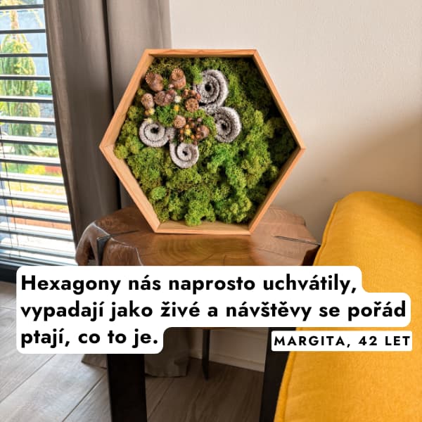 moss-dekorace-hexagon